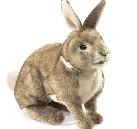 Lapin à queue blanche - Folkmanis Puppets