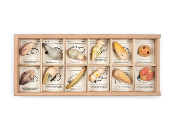 Merveilles de la forêt en bois (insectes) - Grapat