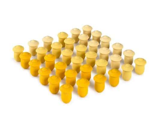 36 Tulipes (orangé/jaune) - Mandala - Grapat