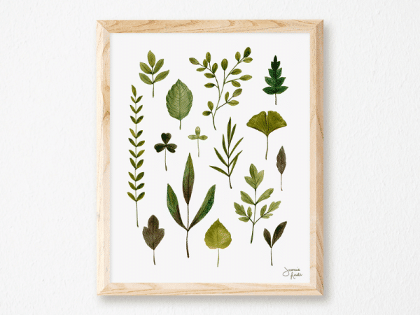 Affiche - Feuillage - Joannie Houle