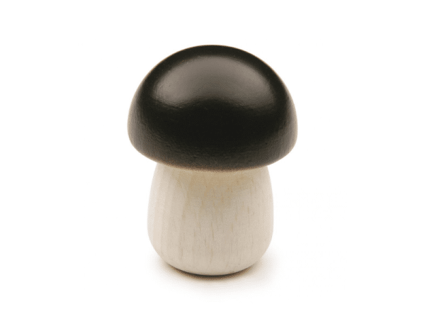 Champignon bolet jaune - Erzi