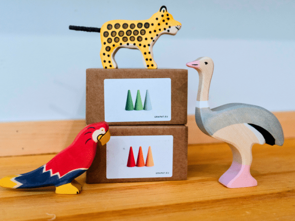 Coffret découverte - Jungle