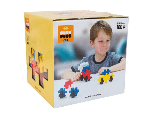 Ensemble de 100 morceaux colorés (Gros) - Plus Plus