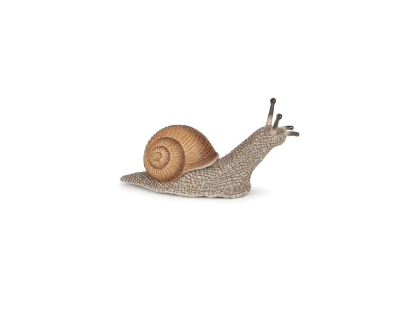 Escargot - Papo