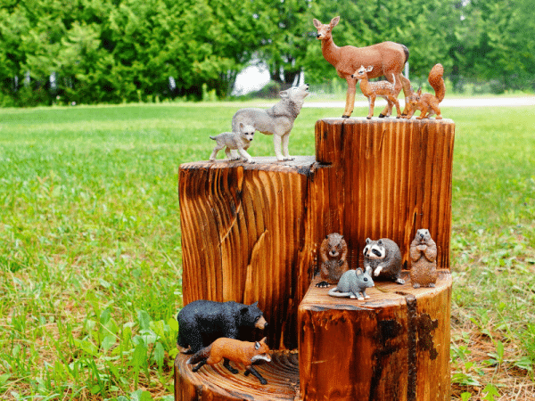 Coffret figurines - Animaux de la forêt - Papo
