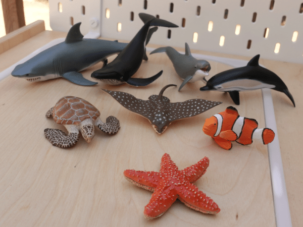 Coffret figurines - Animaux marins - Papo