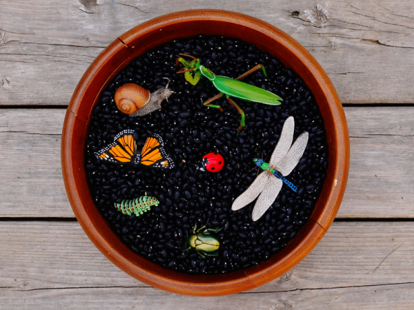 Coffret figurines - Insectes du jardin - Papo