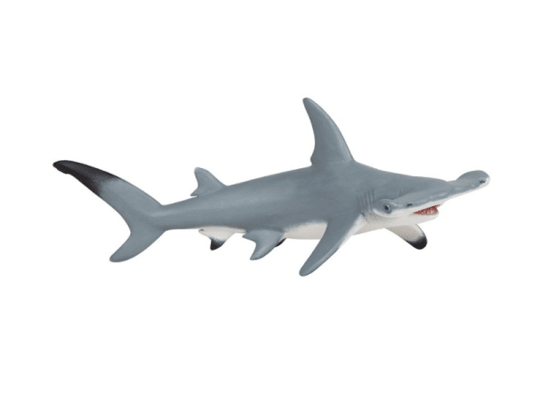 Requin-marteau - Papo