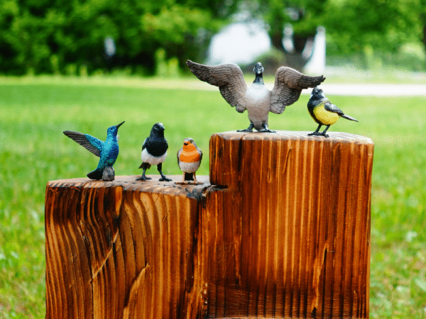 Coffret figurines - Oiseaux - Papo