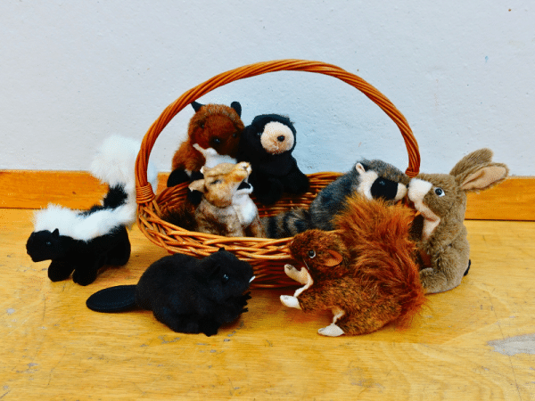 Coffret marionnettes - Animaux de la forêt