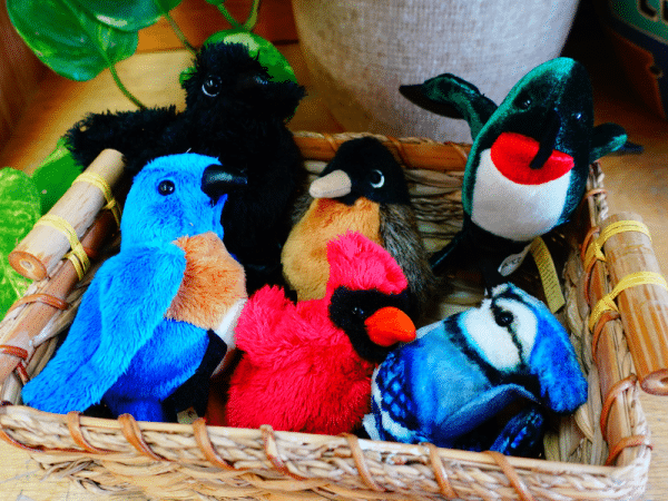Coffret marionnettes - Oiseaux d'ici